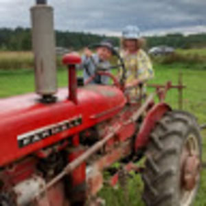 Meet your Posher, Alisha